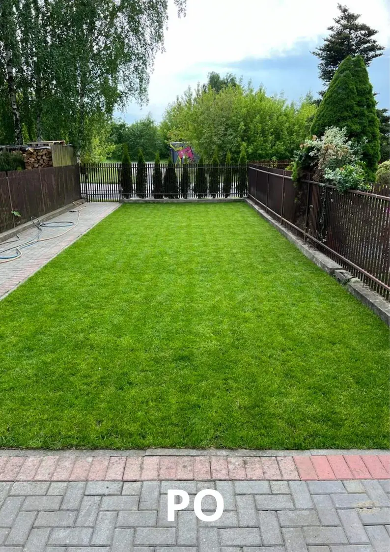 Efekt po ułożeniu trawy w rolce w ogrodzie