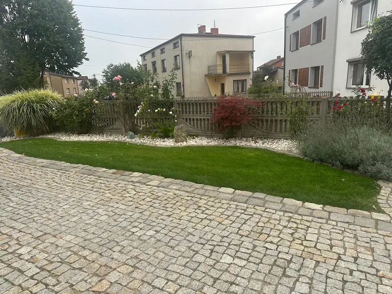 Trawa w rolce Częstochowa – soczyście zielony trawnik zaraz po ułożeniu