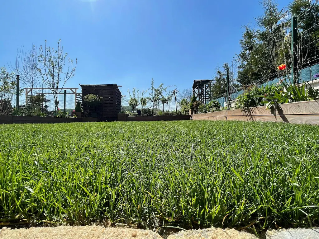 Dostawa trawy w rolce w Częstochowie