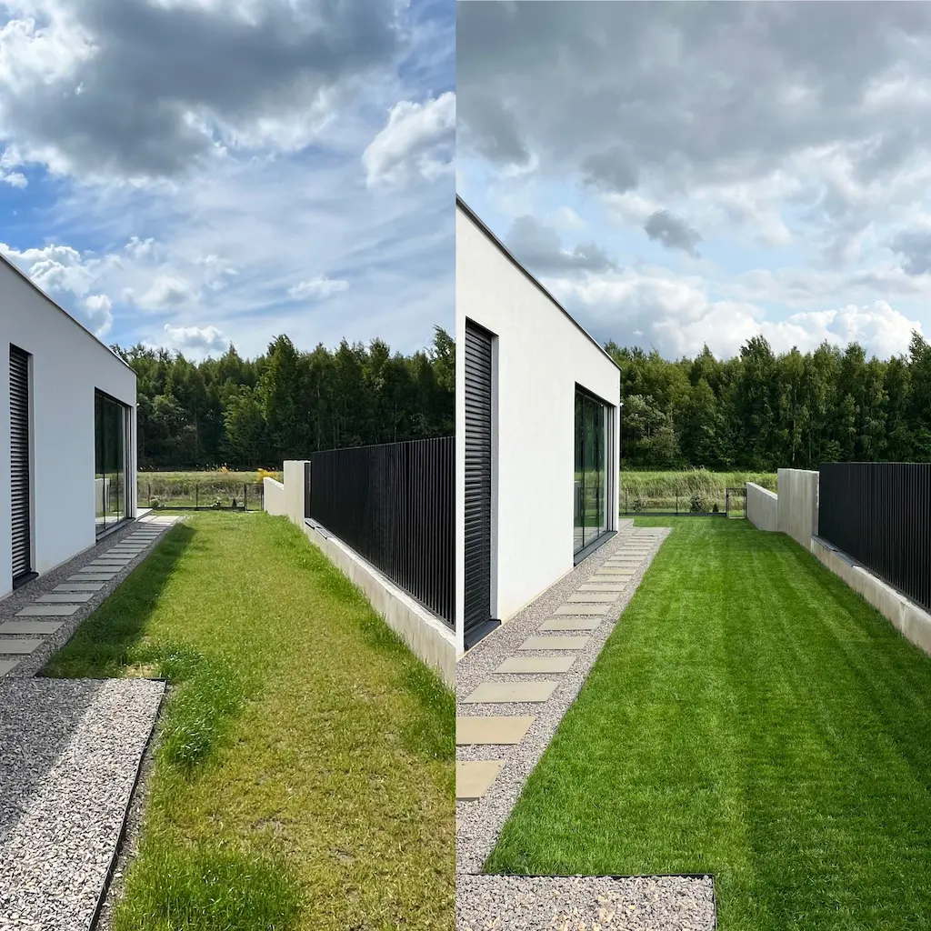 Porównanie trawy z rolki i trawy z siewu