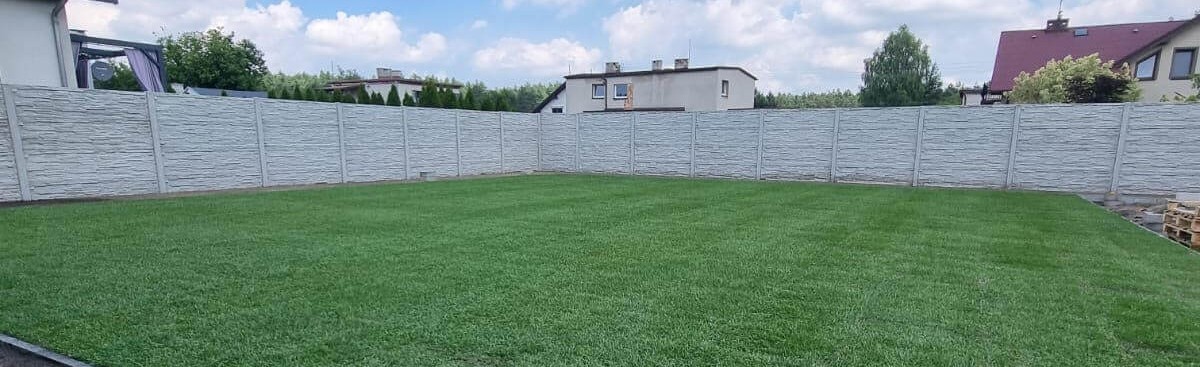 Trawnik z rolki Sosnowiec