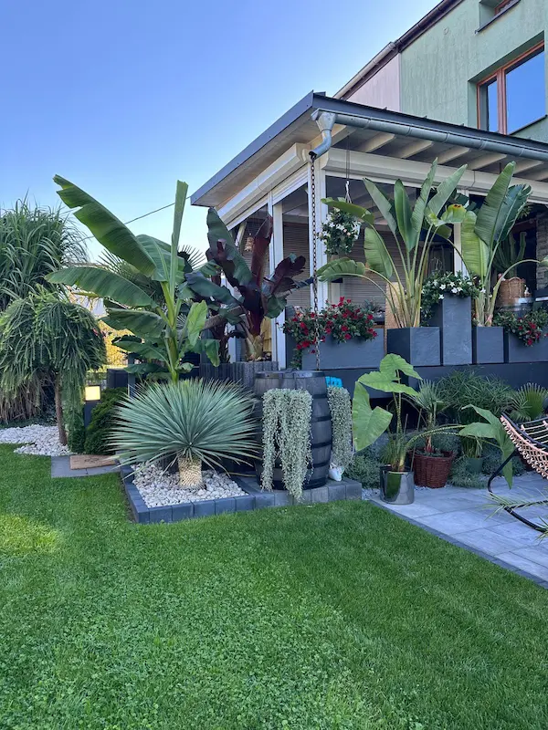 Gęsty trawnik z rolki sprzedaż – realizacja w okolicach Częstochowy